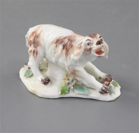 A rare Derby figure of a barking spaniel, c.1760-5, l. 8cm, minor losses